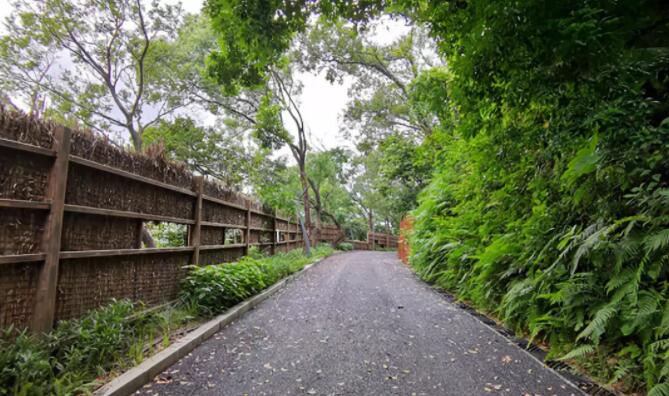 翡翠岛景区_翡翠岛美食_翡翠岛旅游攻略